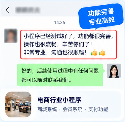 电商小程序项目的微信界面沟通图，展示功能测试和使用支持的对话内容
